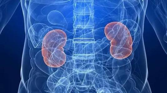 <b>山东省某省级三甲综合医院肾功能损害案例</b>