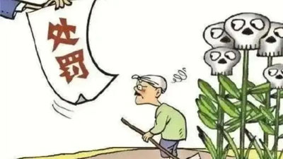 ​种植多少颗大烟是违法？