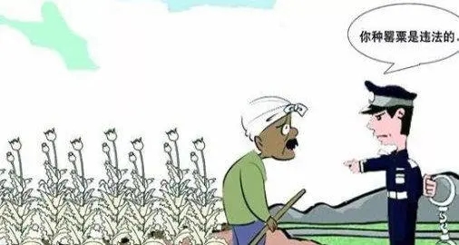 非法种植大烟数量不足100颗的，有什么处罚措施？