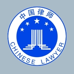 管婷-上海公司法务律师照片展示